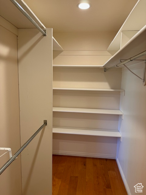 Spacious closet with dark wood-type flooring