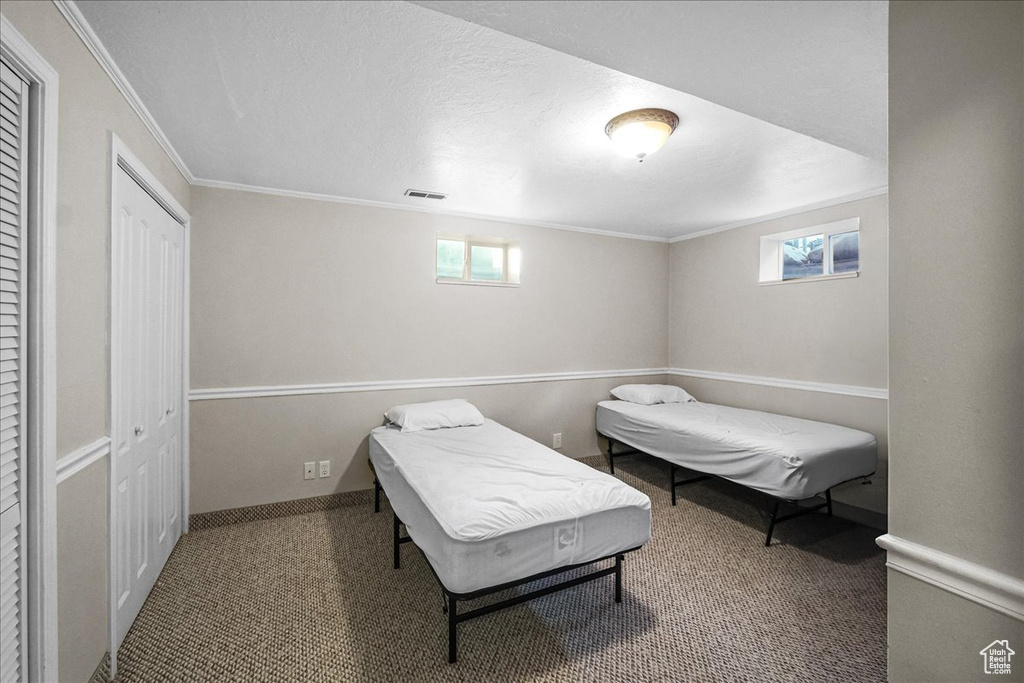 Carpeted bedroom featuring a textured ceiling, a closet, and crown molding