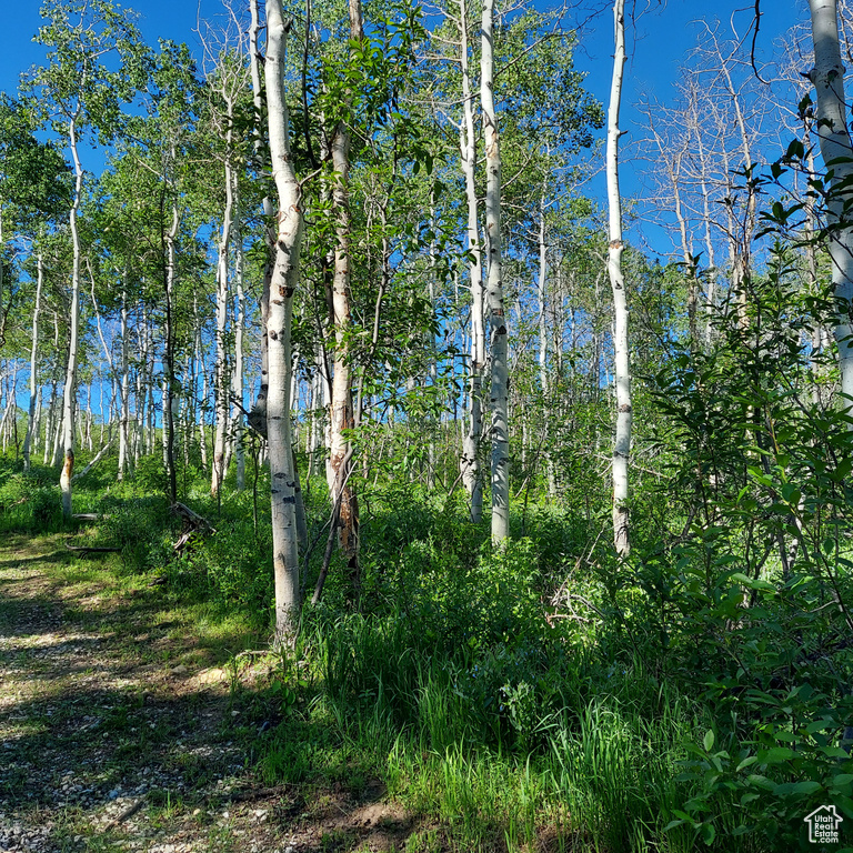 View of landscape