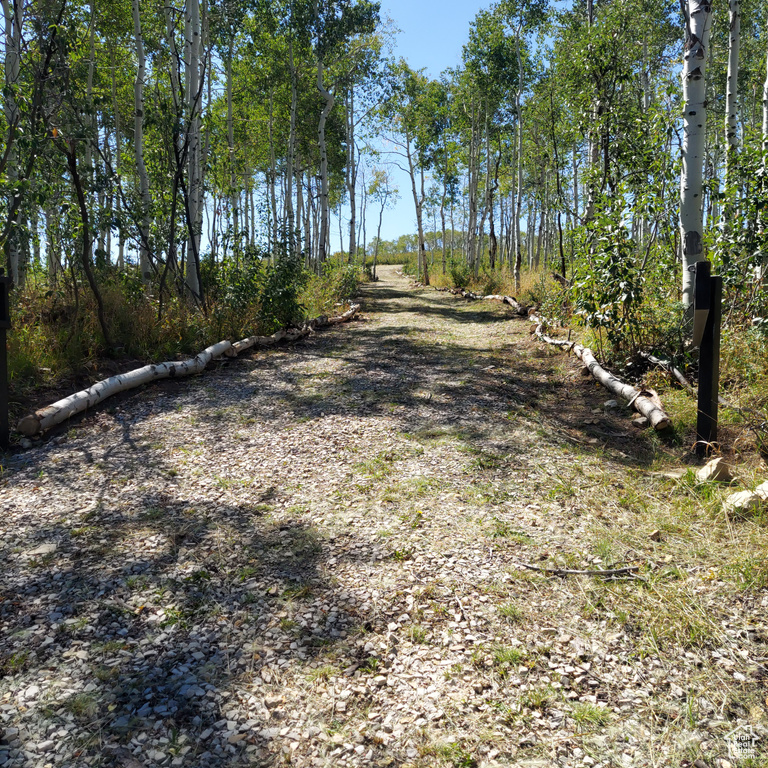 View of road