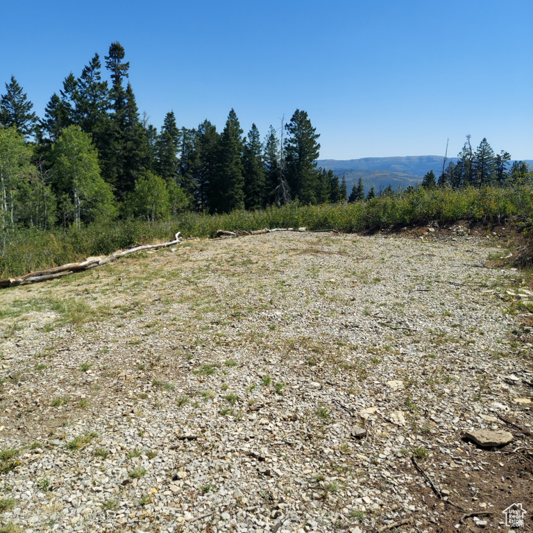 View of landscape