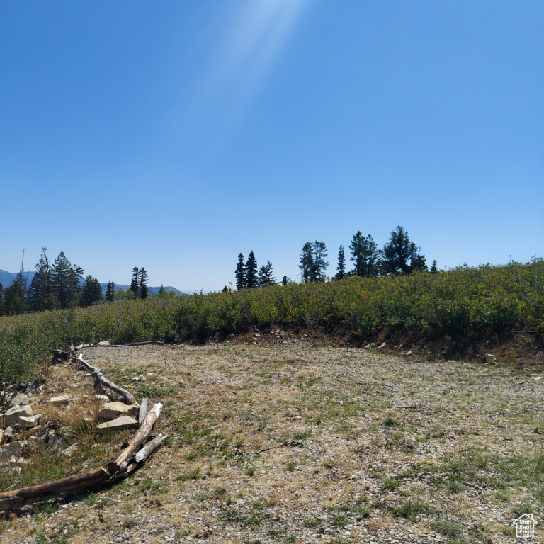 View of yard with a rural view