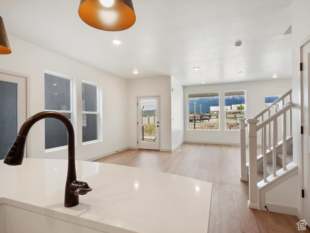 Entrance foyer with sink and light hardwood / wood-style floors