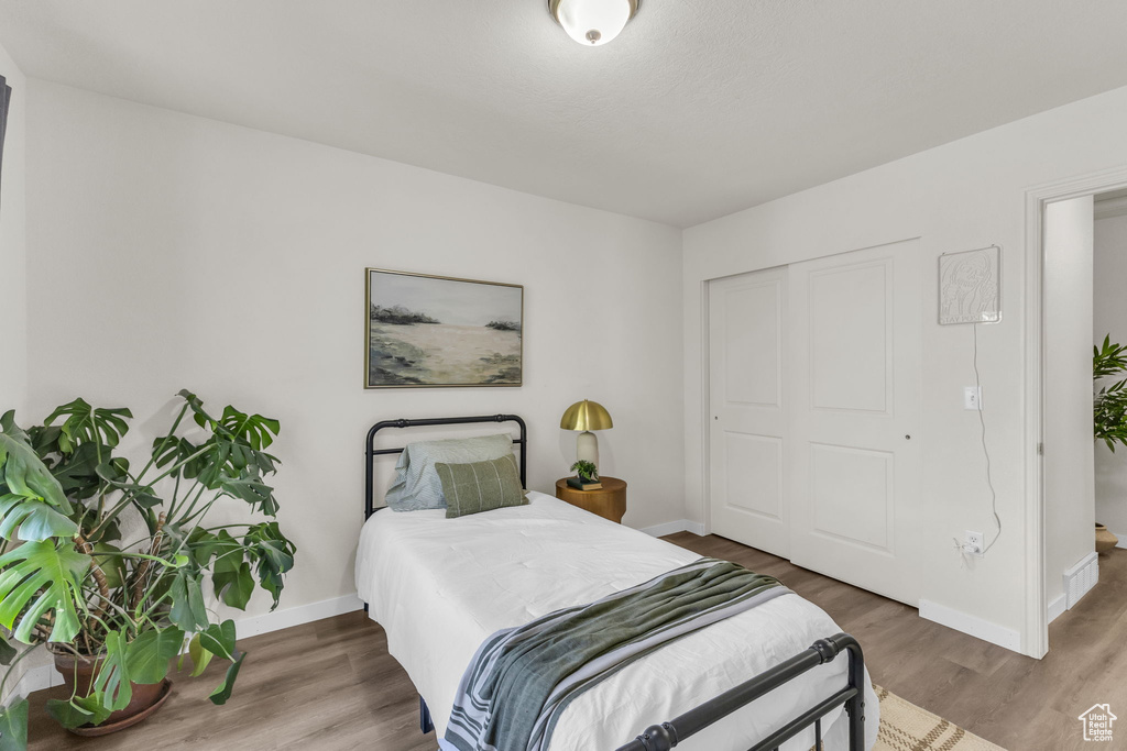 Bedroom with a closet and wood-type flooring