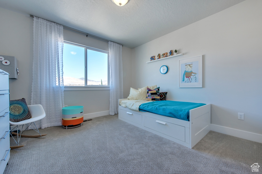 Carpeted bedroom with a textured ceiling