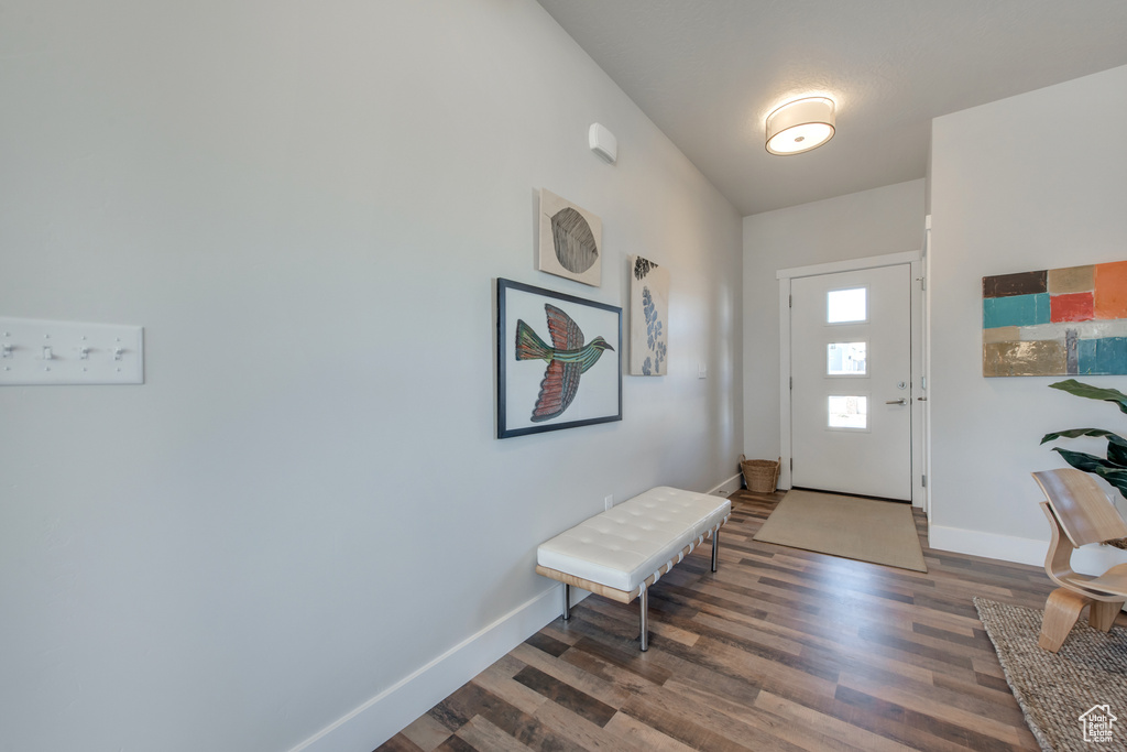 Foyer entrance with dark hardwood / wood-style flooring