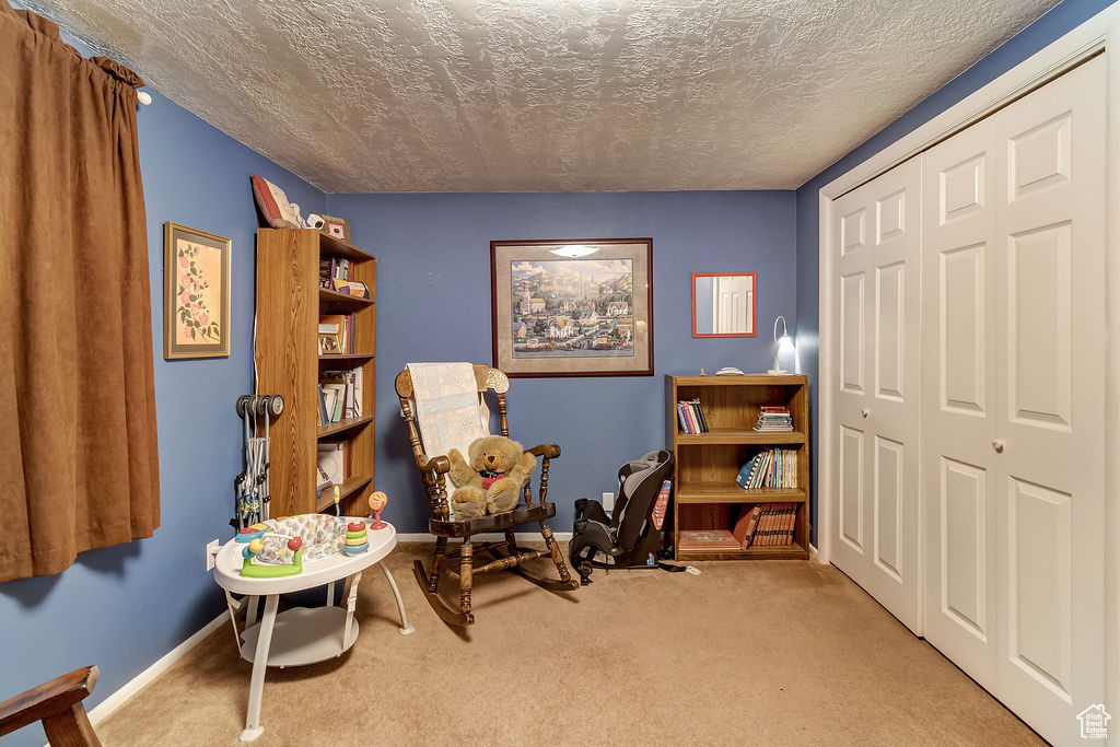 Living area with light colored carpet and a textured ceiling