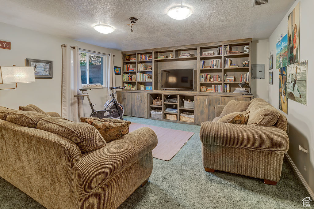 Carpeted living room with a textured ceiling