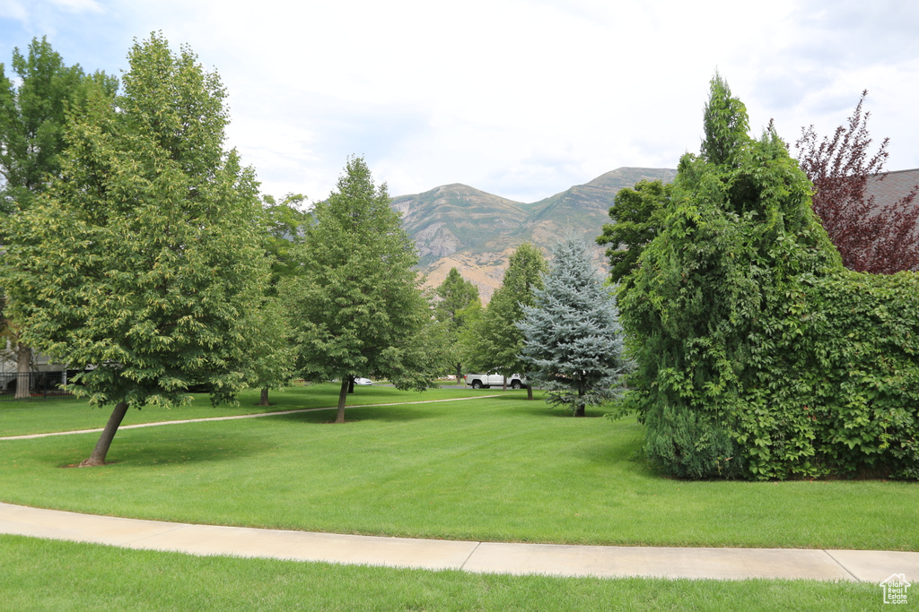 View of community with a lawn and a mountain view