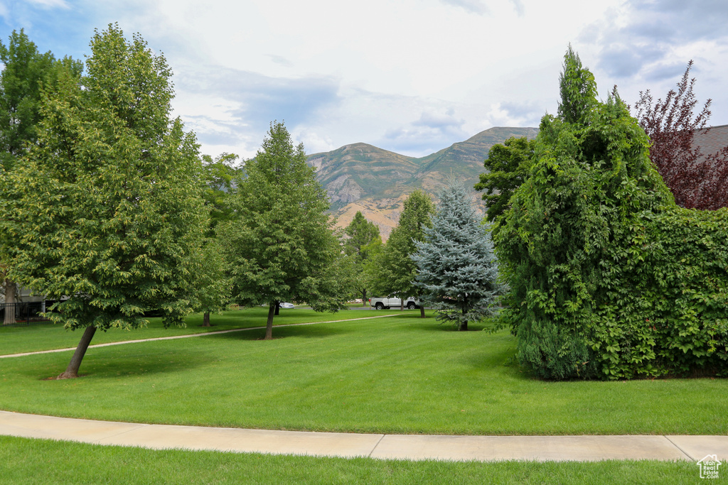 View of community with a mountain view and a yard