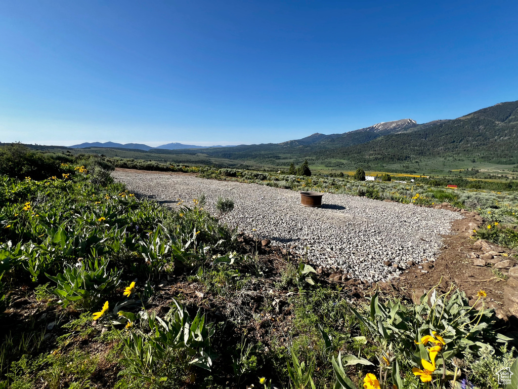 Mountain view