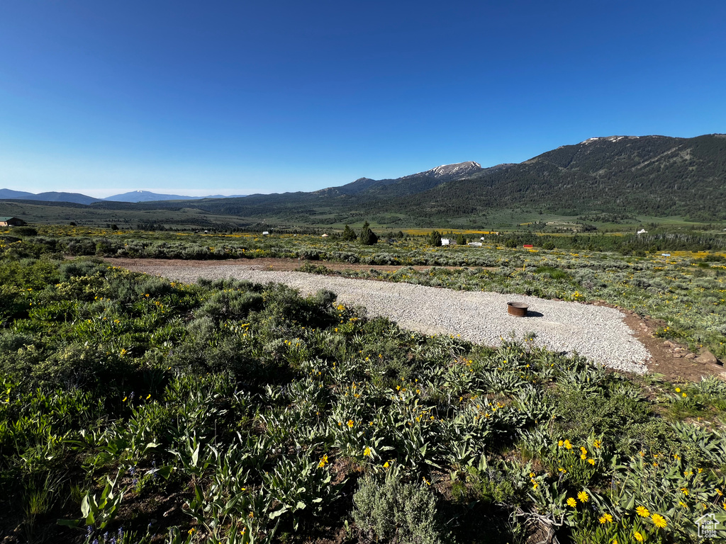 Mountain view
