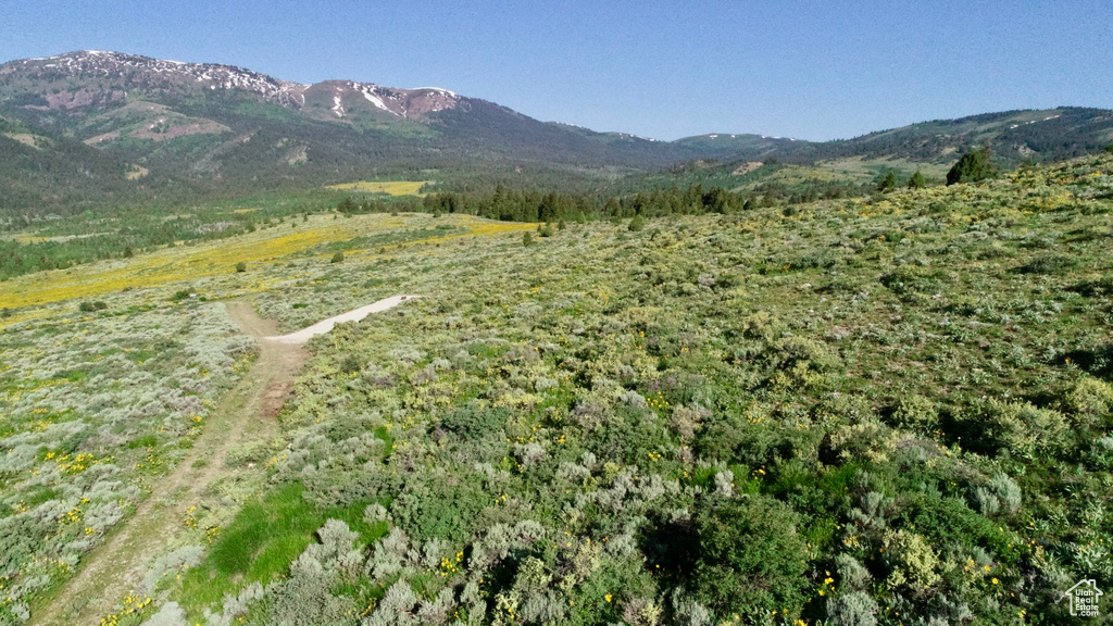 View of mountain background