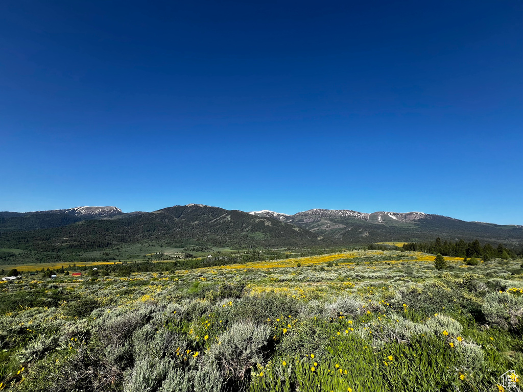 Mountain view