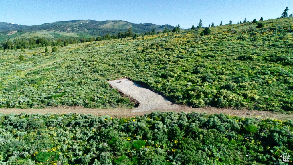 Drone / aerial view of a mountain backdrop