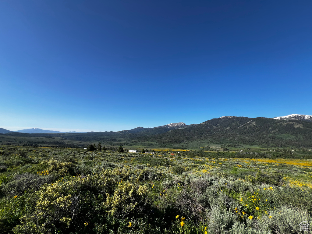 View of mountain background