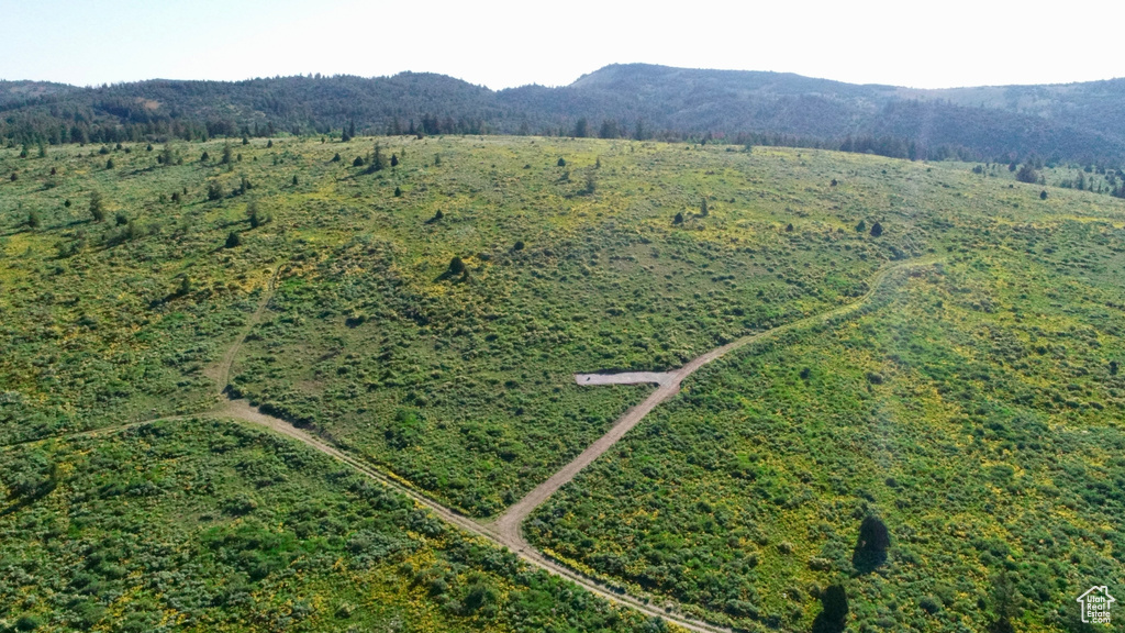 Drone / aerial view of a mountainous background