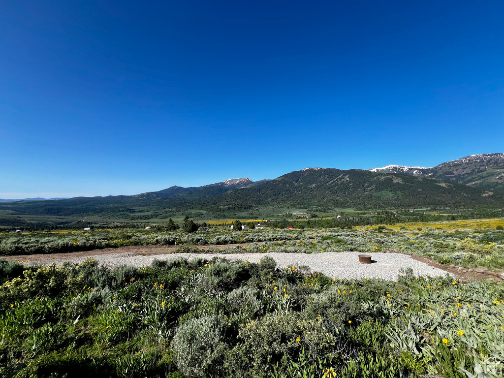 Mountain view