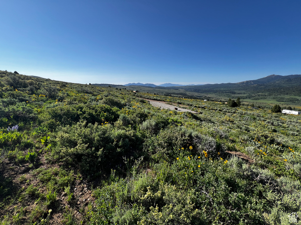 View of mountain background