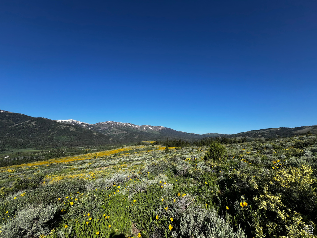 Mountain view