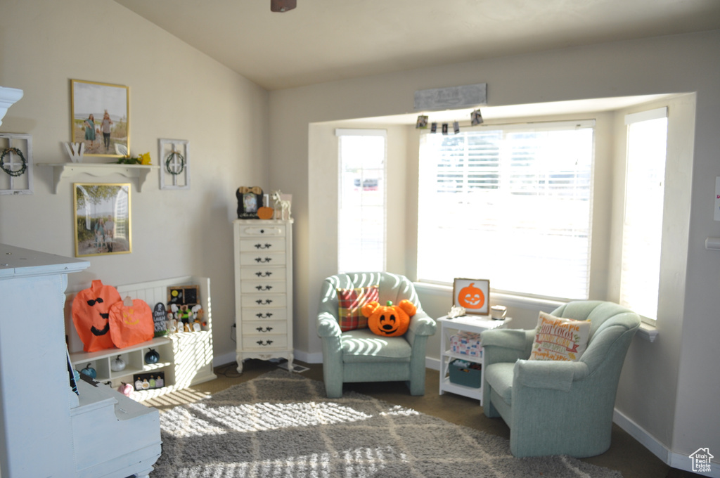 Interior space with vaulted ceiling