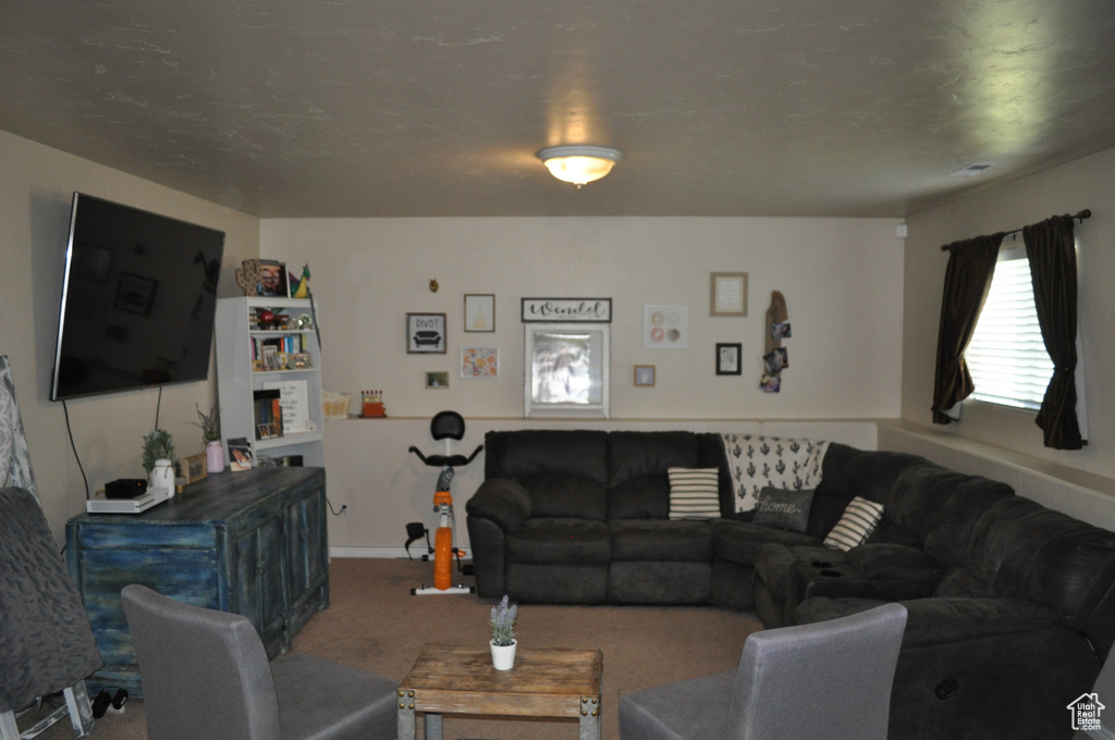 Living room featuring carpet floors