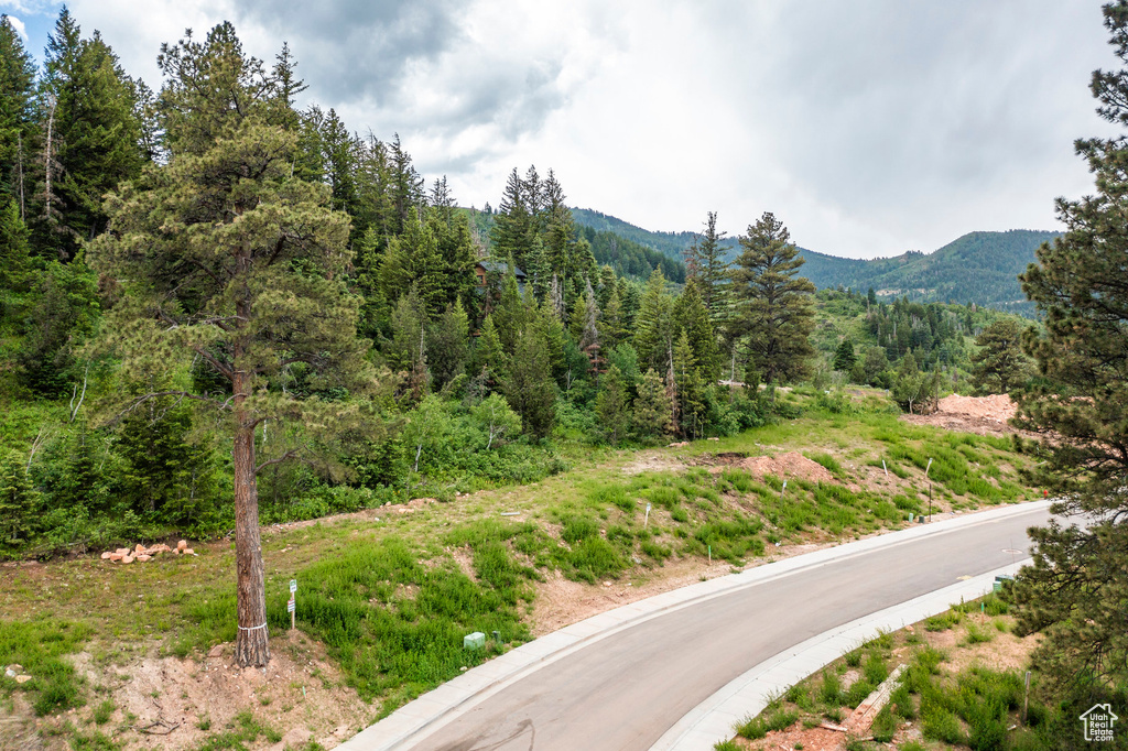 Property view of mountains