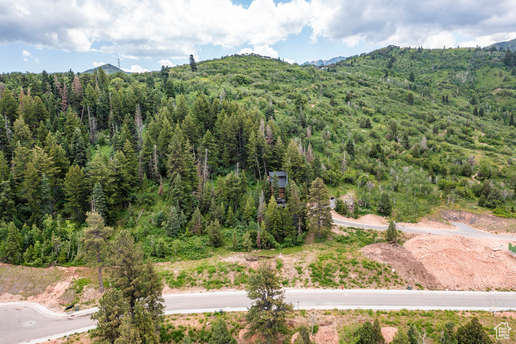 Bird's eye view featuring a mountain view