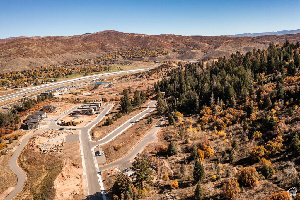 Aerial view with a mountain view