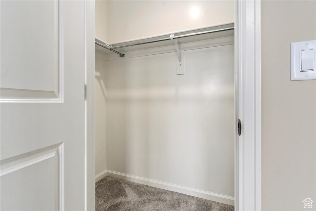 Walk in closet with carpet flooring