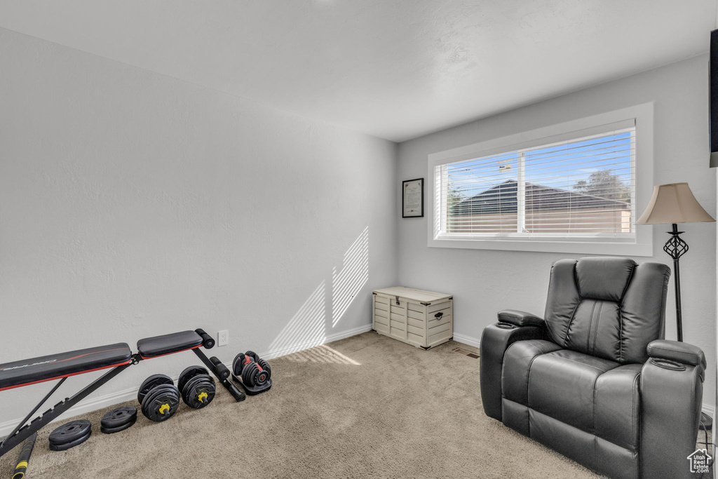 Living area featuring light colored carpet