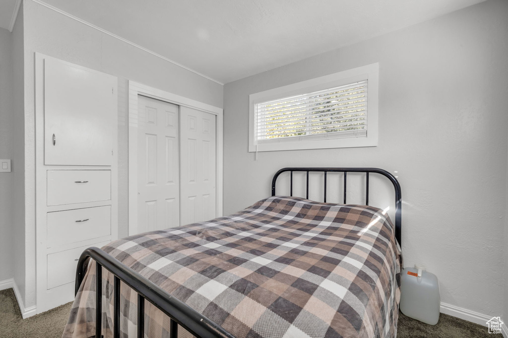 Carpeted bedroom featuring a closet