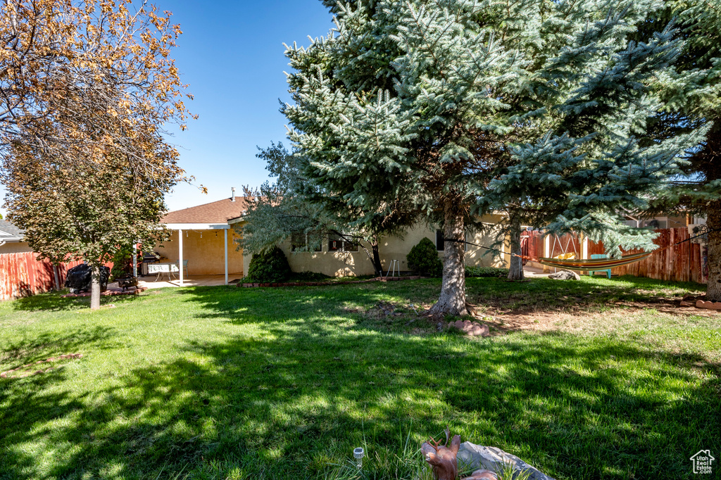 View of yard featuring a patio