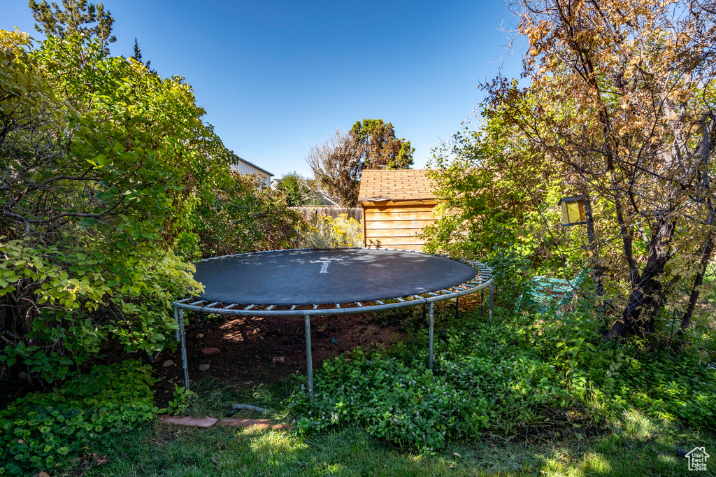 View of yard featuring a trampoline