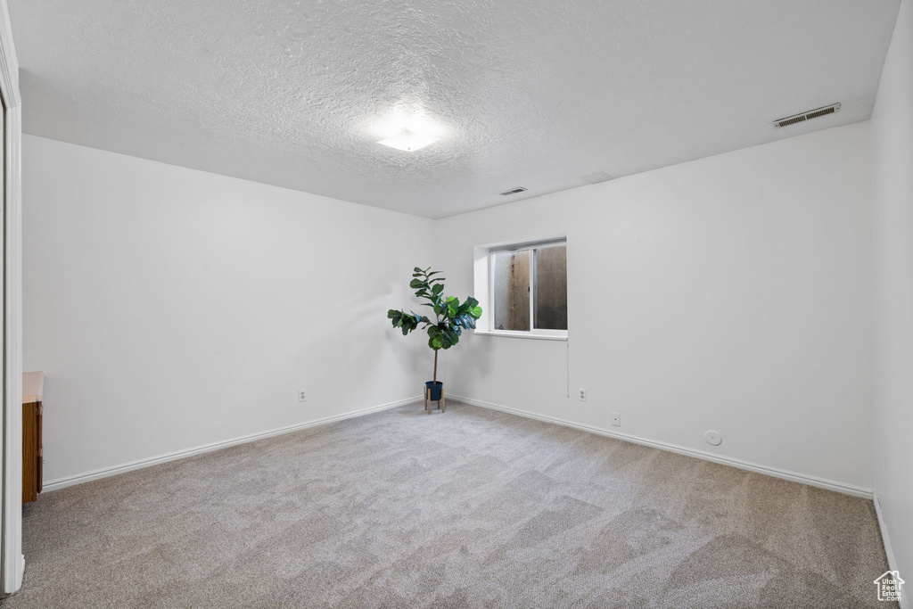 Unfurnished room featuring light carpet and a textured ceiling