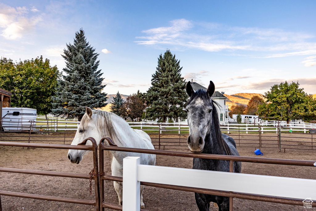 View of stable featuring a rural view
