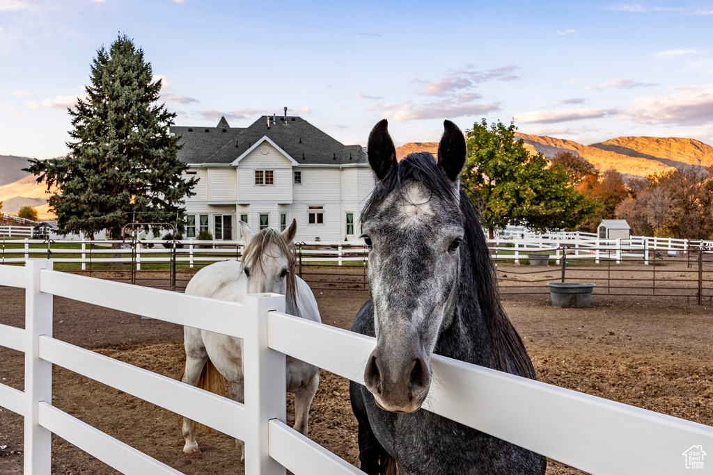 View of stable featuring a mountain view and a rural view