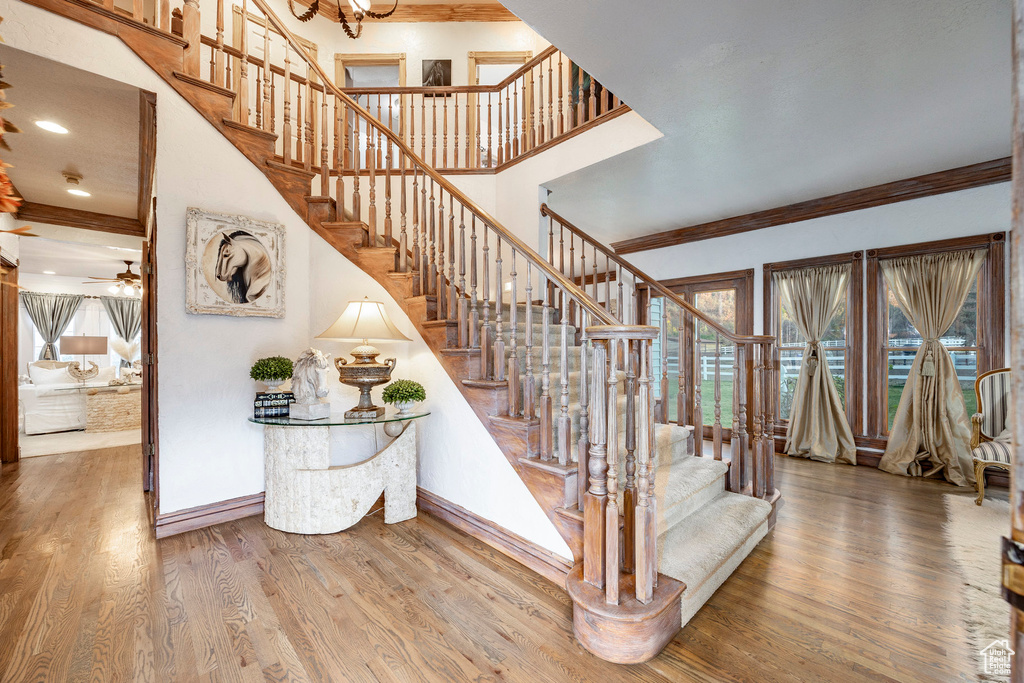 Stairway featuring crown molding, baseboards, wood finished floors, and a high ceiling
