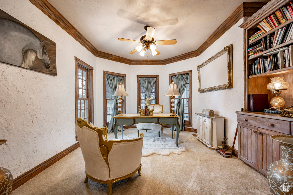 Office featuring ornamental molding, a textured wall, light carpet, baseboards, and a ceiling fan