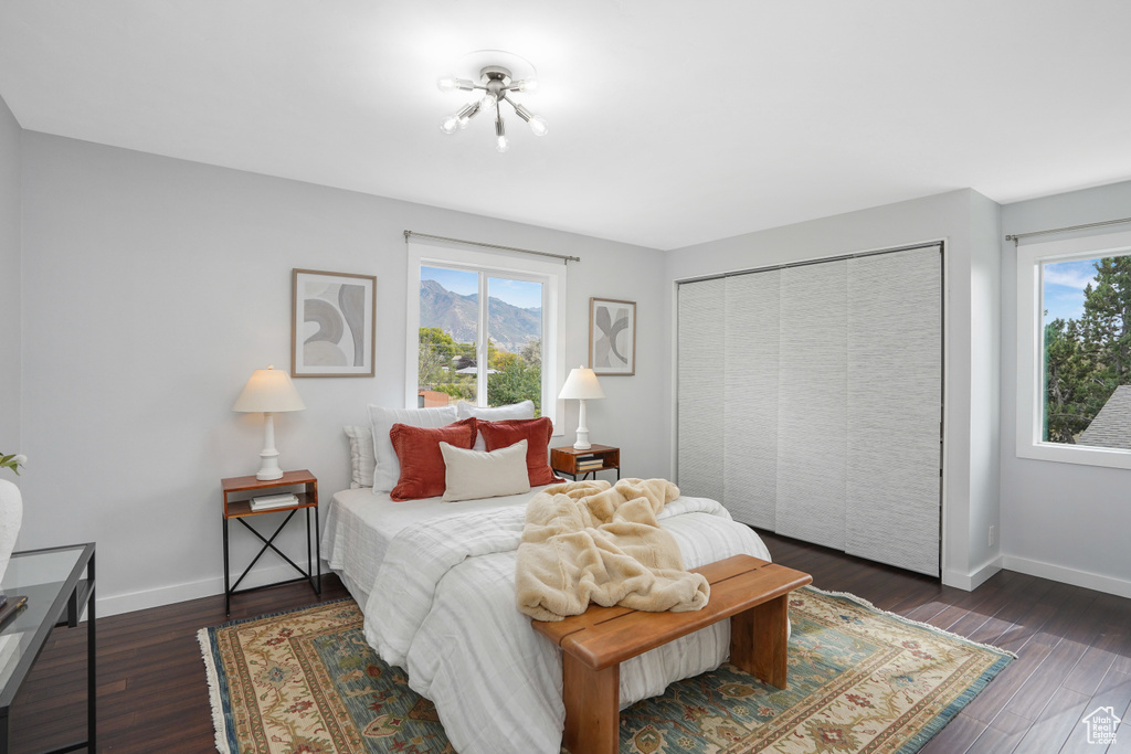 Bedroom with a closet and dark wood-type flooring