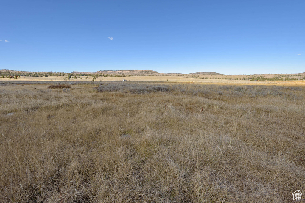 View of local wilderness featuring a rural view