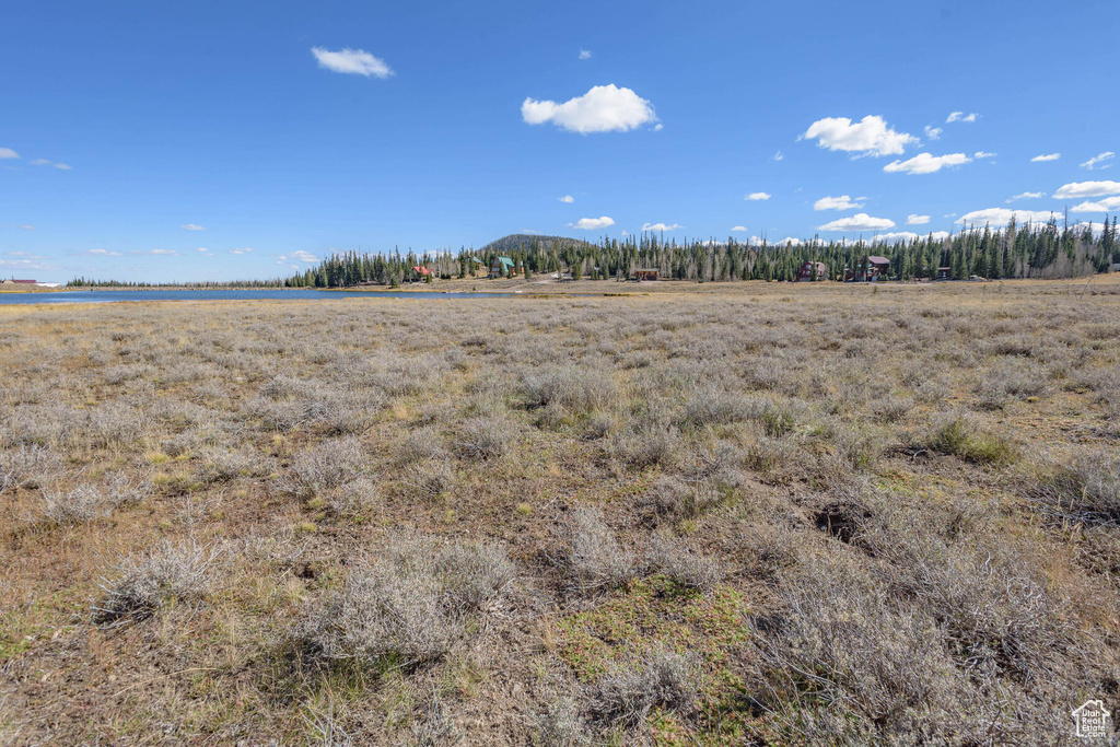 View of local wilderness featuring a rural view