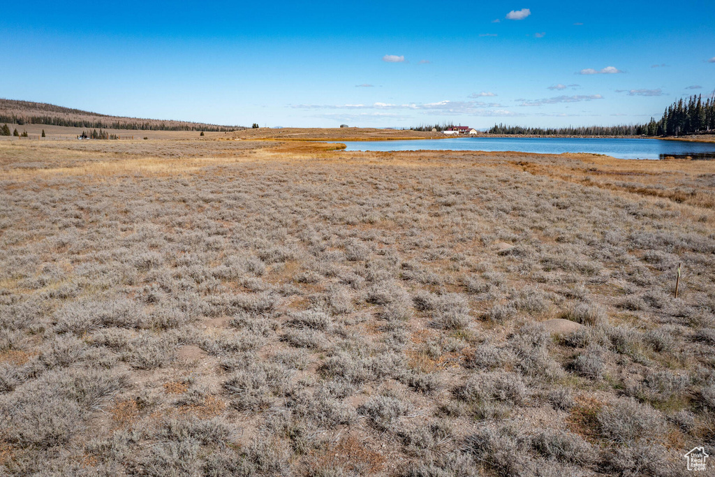 View of yard with a water view and a rural view