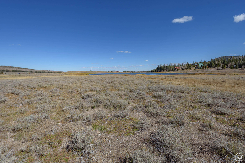 View of local wilderness featuring a rural view