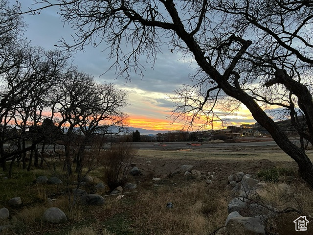 Nature at dusk with a rural view