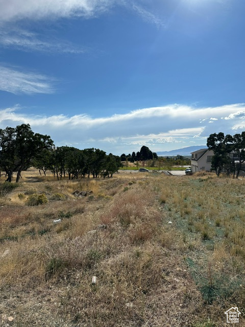 View of local wilderness featuring a rural view