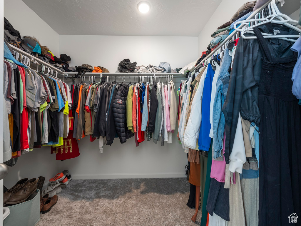 Walk in closet featuring carpet floors