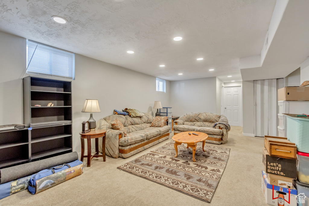 Carpeted living room with a textured ceiling