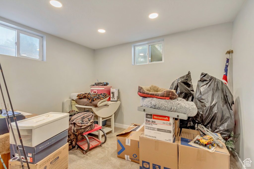 Recreation room with a wealth of natural light and light colored carpet