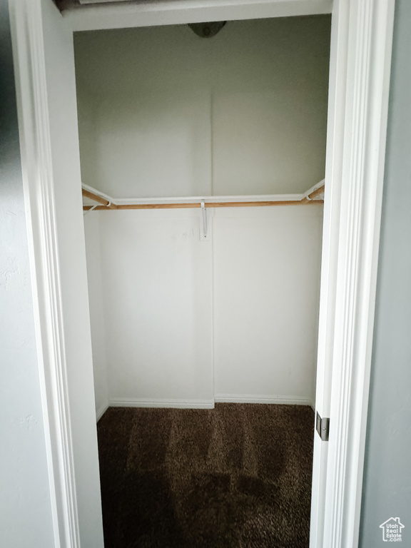 Walk in closet with carpet flooring